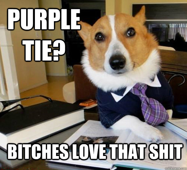 purple tie? bitches love that shit  Lawyer Dog