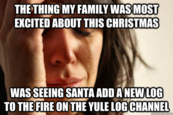 The thing my family was most excited about this Christmas Was seeing santa add a new log to the fire on the yule log channel  First World Problems