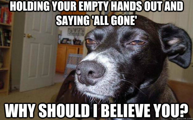 Holding your empty hands out and saying 'all gone' Why should I believe you?  Skeptical Mutt