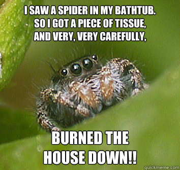 i saw a spider in my bathtub. 
So i got a piece of tissue, 
and very, very carefully, burned the 
house down!!  Misunderstood Spider