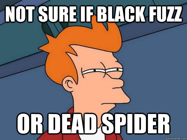 Not sure if black fuzz Or dead spider  Futurama Fry