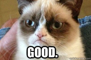 good.  Grumpy Cat