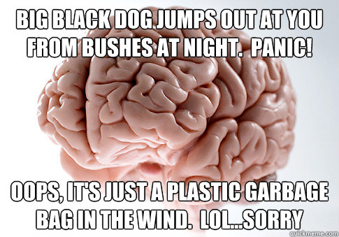 BIG black DOG jumps out at you from bushes at night.  PANIC! Oops, it's just a plastic garbage bag in the wind.  LOL...sorry  Scumbag Brain