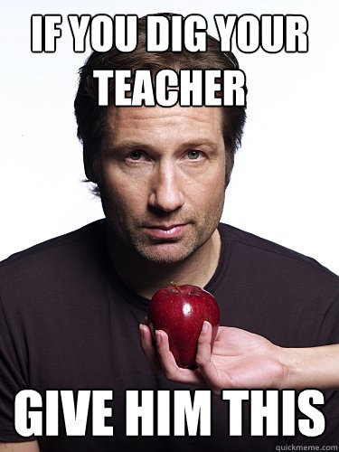 if you dig your teacher give him this  Irresistible Hank Moody