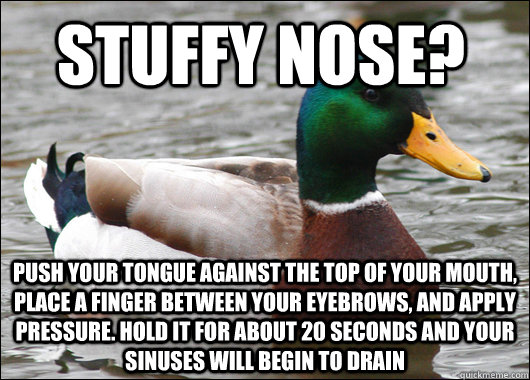 Stuffy Nose? Push your tongue against the top of your mouth, place a finger between your eyebrows, and apply pressure. Hold it for about 20 seconds and your sinuses will begin to drain  Actual Advice Mallard