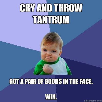 Cry and throw tantrum Got a pair of boobs in the face.

Win. - Cry and throw tantrum Got a pair of boobs in the face.

Win.  Success Kid