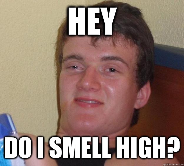 Hey Do I smell high?  10 Guy