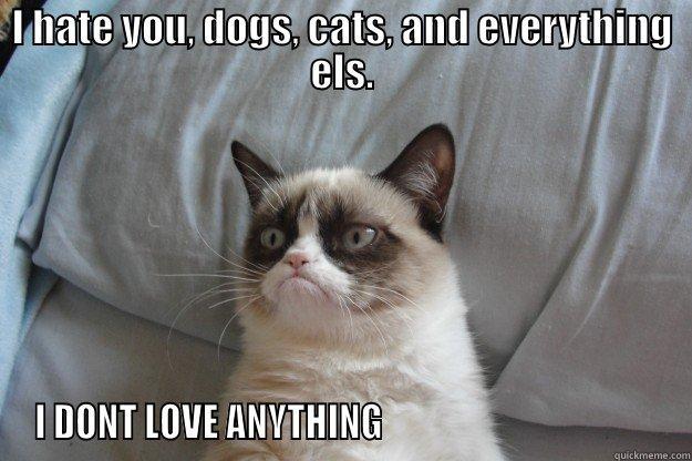 things i hate and love - I HATE YOU, DOGS, CATS, AND EVERYTHING ELS. I DONT LOVE ANYTHING                                       Grumpy Cat