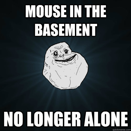 Mouse in the basement no longer alone  Forever Alone