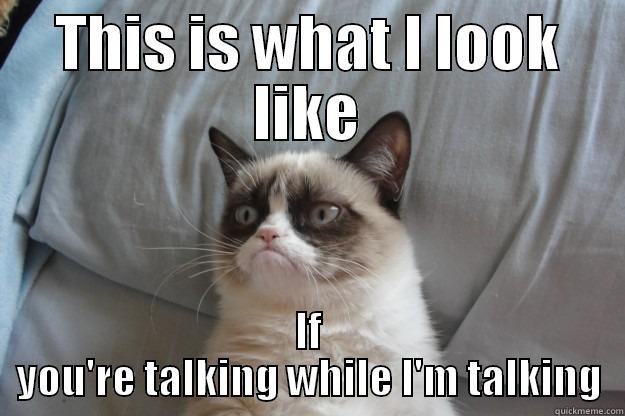 Who's Talking? - THIS IS WHAT I LOOK LIKE IF YOU'RE TALKING WHILE I'M TALKING Grumpy Cat