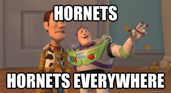 hornets hornets everywhere - hornets hornets everywhere  Toy Story Everywhere