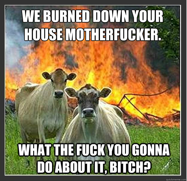 We burned down your house motherfucker. What the fuck you gonna do about it, bitch?  Evil cows