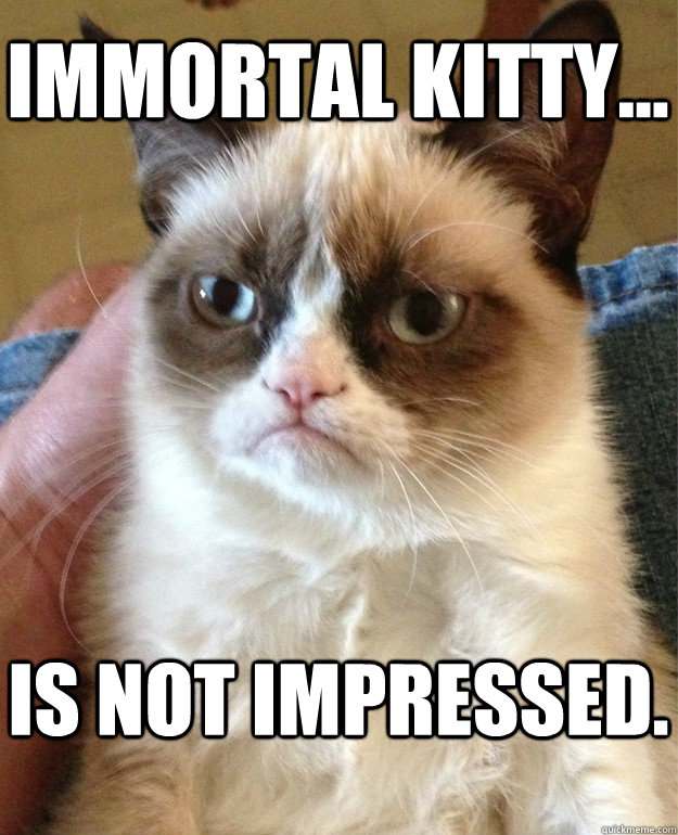 IMMORTAL KITTY... IS NOT IMPRESSED.  Grumpy Cat