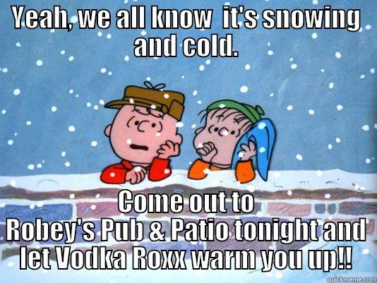 YEAH, WE ALL KNOW  IT'S SNOWING AND COLD. COME OUT TO ROBEY'S PUB & PATIO TONIGHT AND LET VODKA ROXX WARM YOU UP!! Misc