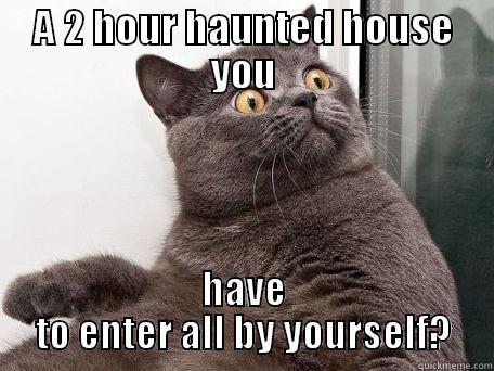 A 2 HOUR HAUNTED HOUSE YOU HAVE TO ENTER ALL BY YOURSELF? conspiracy cat