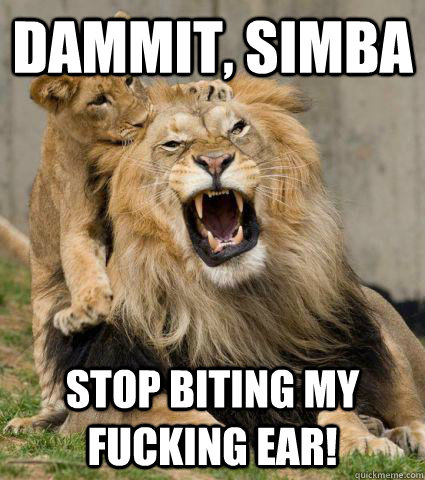 Dammit, Simba Stop biting my fucking ear!  Dammit Simba