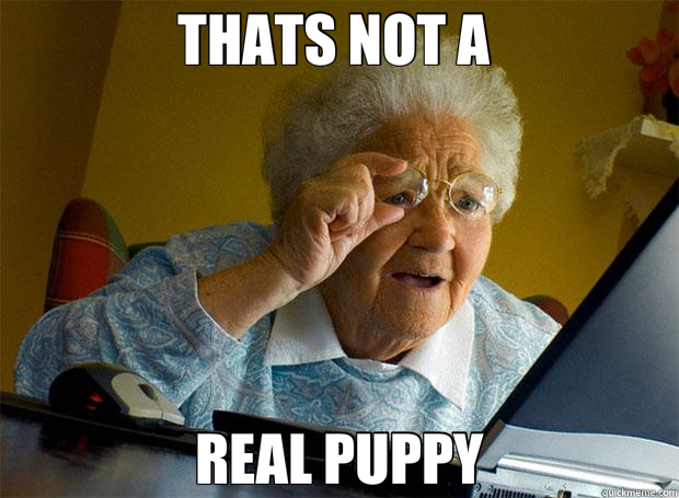 THATS NOT A  REAL PUPPY  Grandma finds the Internet