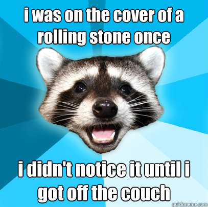 i was on the cover of a rolling stone once i didn't notice it until i got off the couch - i was on the cover of a rolling stone once i didn't notice it until i got off the couch  Lame Pun Coon