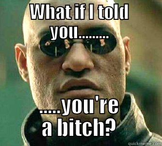 WHAT IF I TOLD YOU......... .....YOU'RE A BITCH? Matrix Morpheus