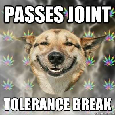 Passes joint tolerance break  - Passes joint tolerance break   Stoner Dog