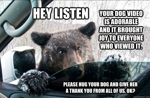 HEY LISTEN Your dog video is adorable and it brought joy to everyone who viewed it.   Please hug your dog and give her a thank you from all of us, ok?  Pep Talk Bear