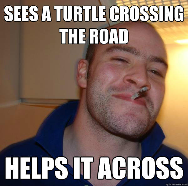 Sees a turtle crossing the road helps it across - Sees a turtle crossing the road helps it across  Good Guy Greg 