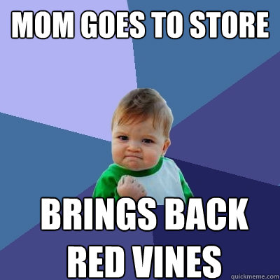 Mom Goes to store brings back red vines - Mom Goes to store brings back red vines  Success Kid