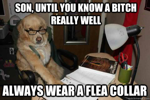 son, until you know a bitch really well always wear a flea collar  Financial Advice Dog