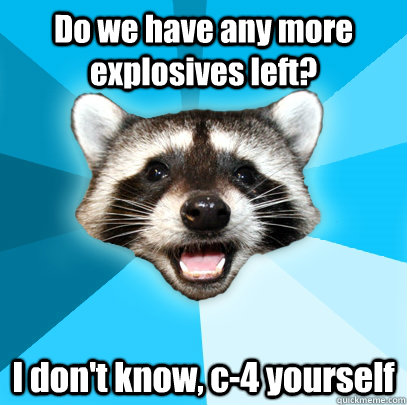 Do we have any more explosives left? I don't know, c-4 yourself - Do we have any more explosives left? I don't know, c-4 yourself  Lame Pun Coon