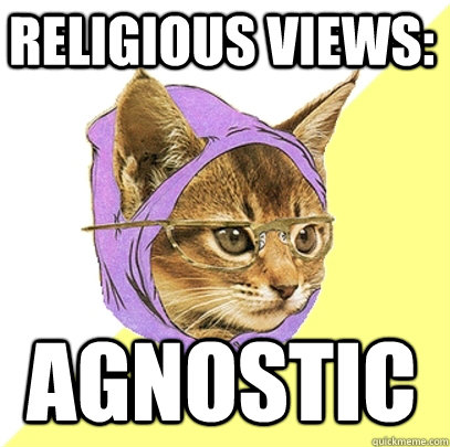 Religious views: agnostic - Religious views: agnostic  Hipster Kitty