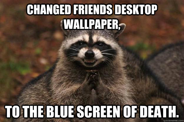 Changed friends desktop wallpaper, TO the blue screen of death.  Evil Plotting Raccoon