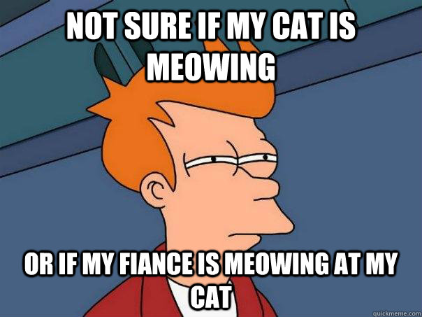 Not sure if my cat is meowing or if my fiance is meowing at my cat  Futurama Fry