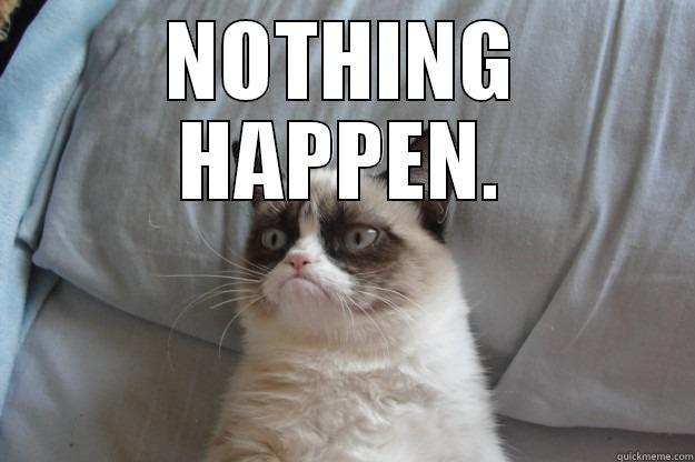 NOTHING HAPPEN.  Grumpy Cat