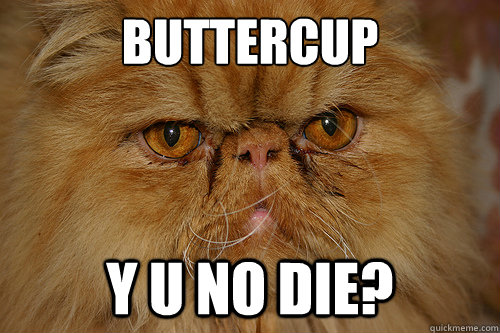 Buttercup Y U NO DIE?  