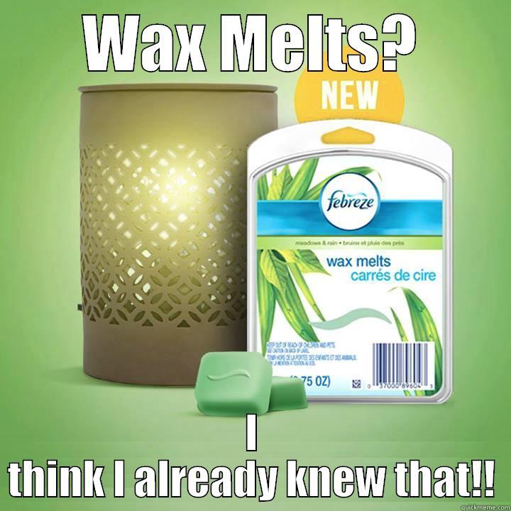 Who said Wax doesnt melt? - WAX MELTS? I THINK I ALREADY KNEW THAT!! Misc