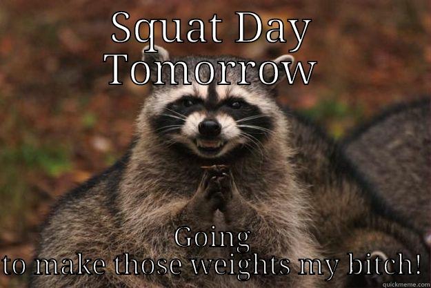 SQUAT DAY TOMORROW GOING TO MAKE THOSE WEIGHTS MY BITCH! Evil Plotting Raccoon