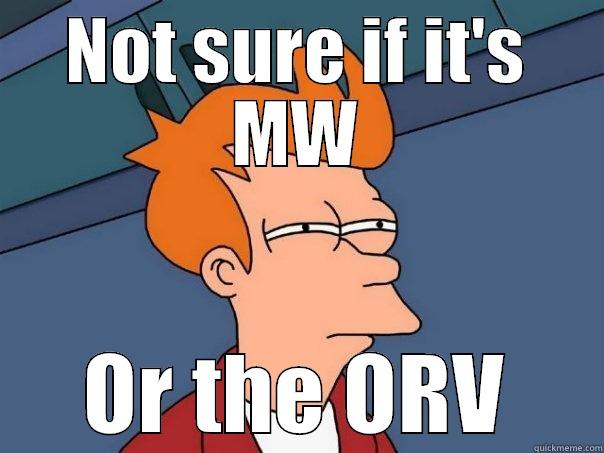 NOT SURE IF IT'S MW OR THE ORV Futurama Fry