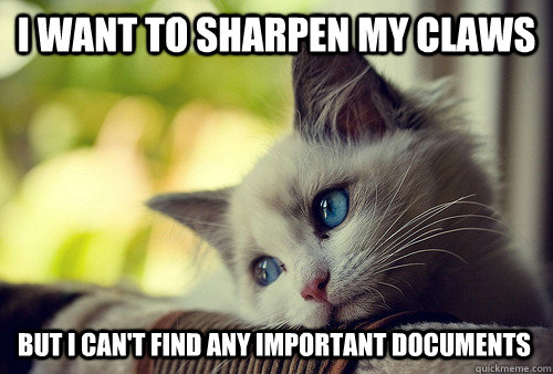 I want to sharpen my claws but I can't find any important documents  First World Problems Cat