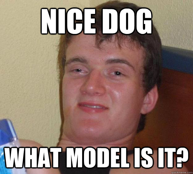 Nice dog What model is it?  10 Guy