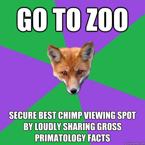 go to zoo secure best chimp viewing spot by loudly sharing gross primatology facts  Anthropology Major Fox