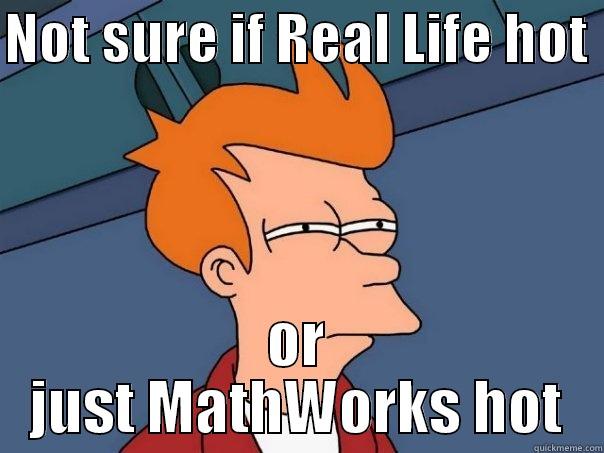 hot? or not - NOT SURE IF REAL LIFE HOT  OR JUST MATHWORKS HOT Futurama Fry