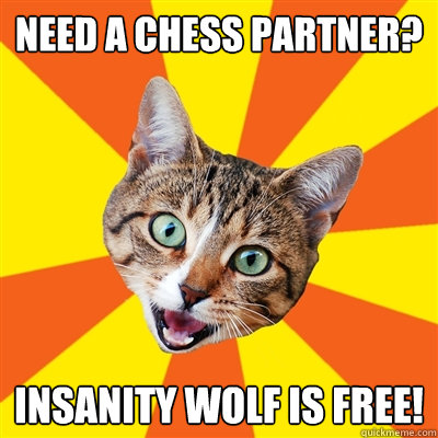 need a chess partner? insanity wolf is free!  Bad Advice Cat