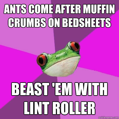 ants come after muffin crumbs on bedsheets beast 'em with lint roller  Foul Bachelorette Frog