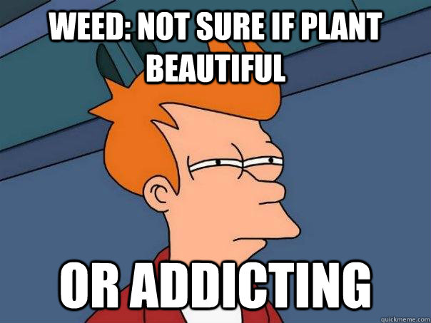 WEED: Not sure if plant beautiful   or addicting  Futurama Fry