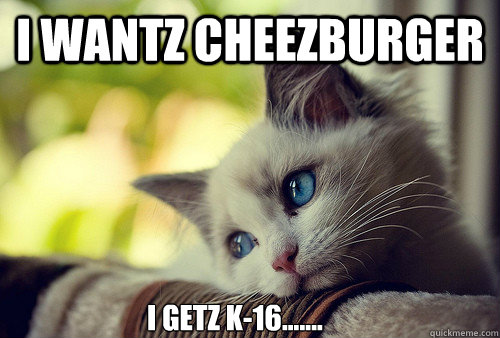 I wantz Cheezburger I getz K-16.......  First World Problems Cat