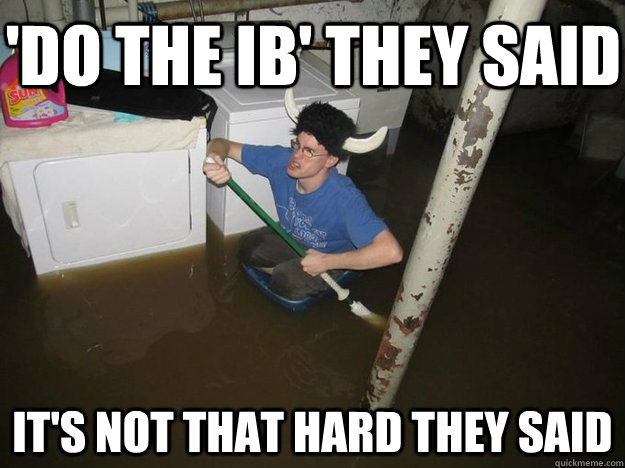 'do the ib' they said it's not that hard they said - 'do the ib' they said it's not that hard they said  Do the laundry they said