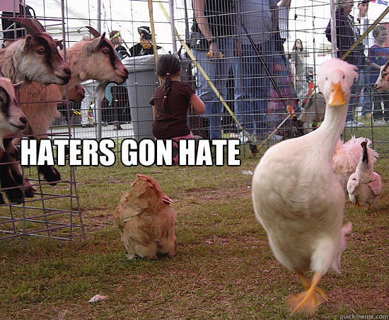 Haters gon hate  Awesome Goose