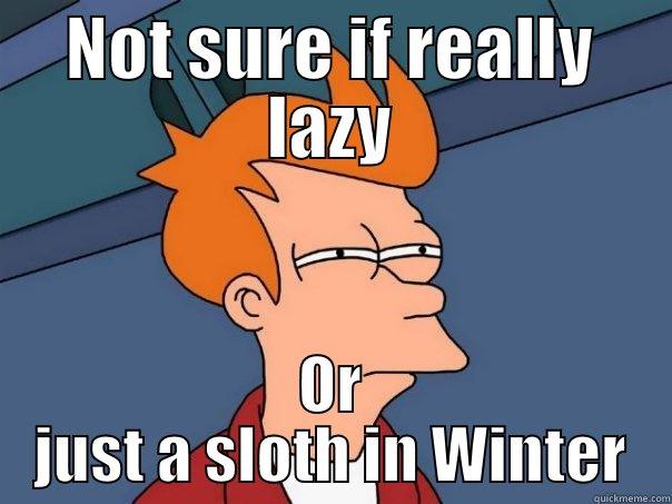 NOT SURE IF REALLY LAZY OR JUST A SLOTH IN WINTER Futurama Fry