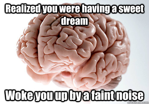 Realized you were having a sweet dream Woke you up by a faint noise   Scumbag Brain