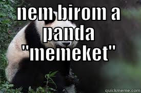 NEM BIROM A PANDA 